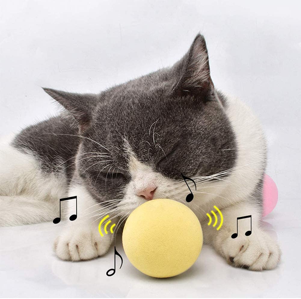 SmartBall™ - Balle intelligente d'apprentissage pour chat - LE COMPTOIR DES CHATS